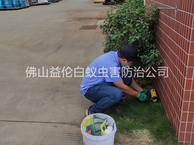 容桂布放灭鼠屋工程