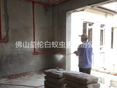 乐从装修预防白蚁工程