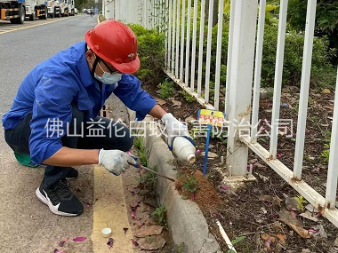 乐从红火蚁防治工程