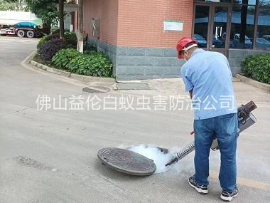 均安杀灭蟑螂蚊蝇工程