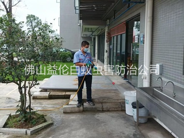 北滘外环境消杀四害工程