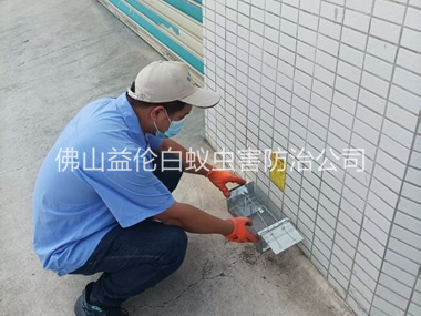 大良厂区布置鼠笼防控监测工程