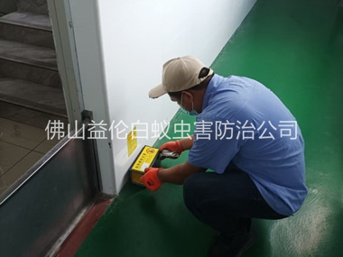 乐从工厂车间室内布置粘鼠板工程